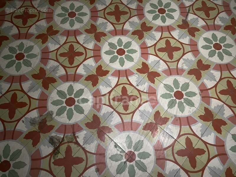 Maison à SAINT-REMY-DE-PROVENCE