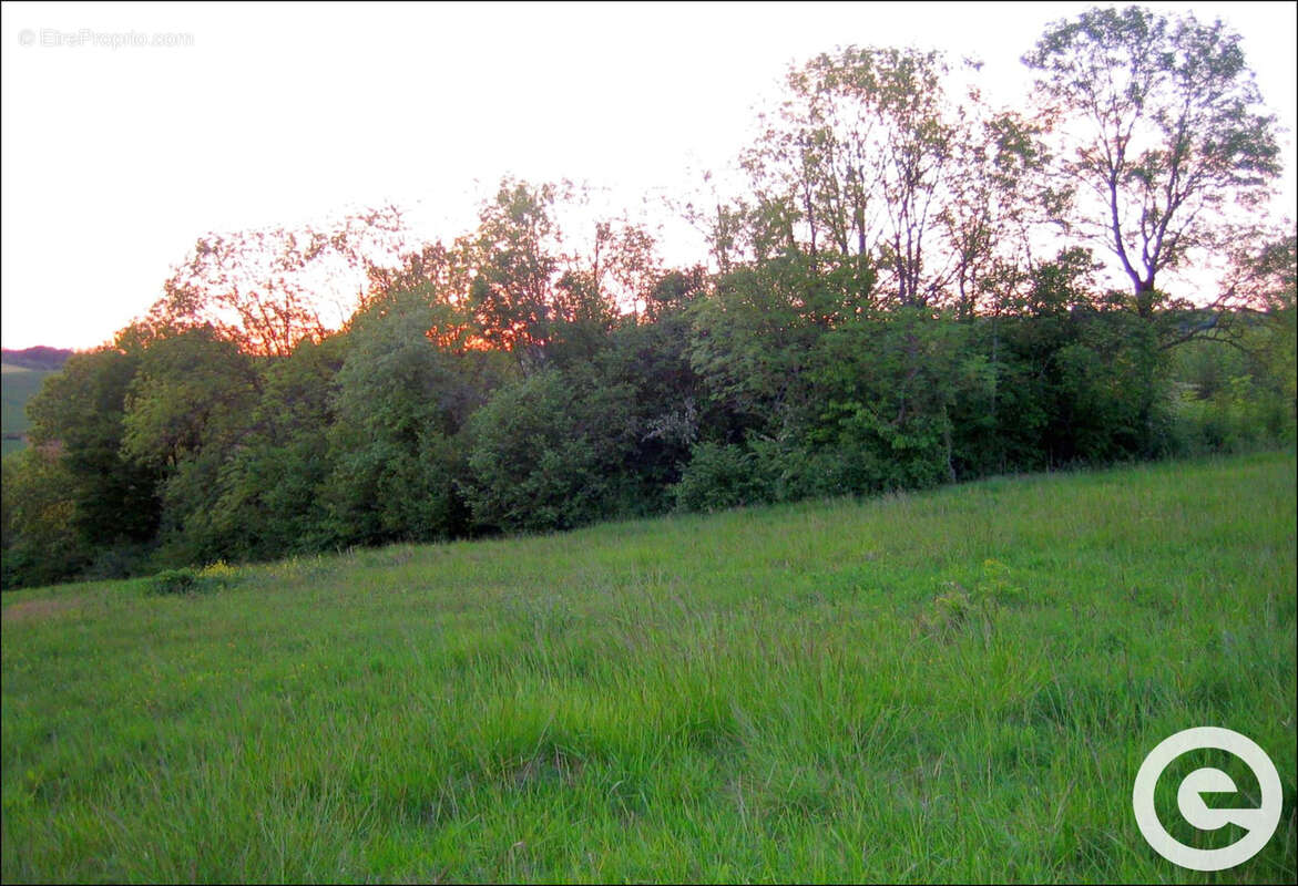 Terrain à BAGNEAUX