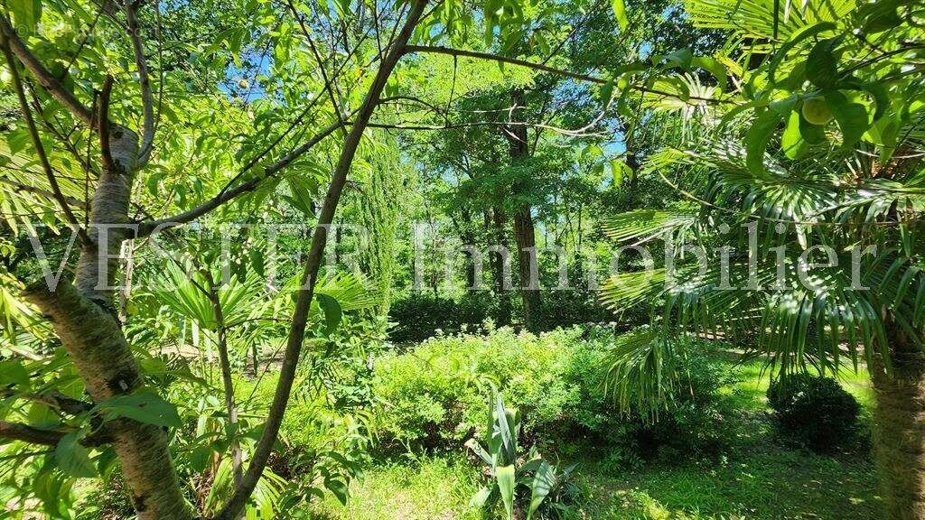 Propriété au coeur de la nature avec piscine couverte chauffée. Idéale maison d'hôtes ou grande fami - photo 16