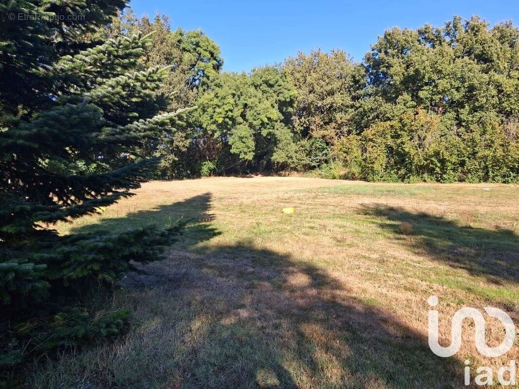 Terrain 2327 m² à Montauban  - photo 4