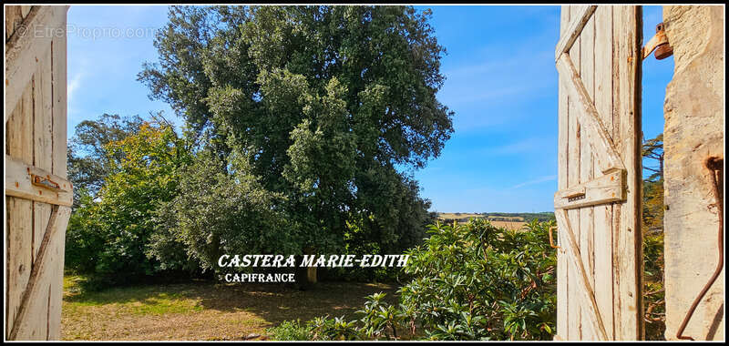 Propriété - Château Gascon Historique  - Terres agricoles, proche de AUCH (32) - photo 24