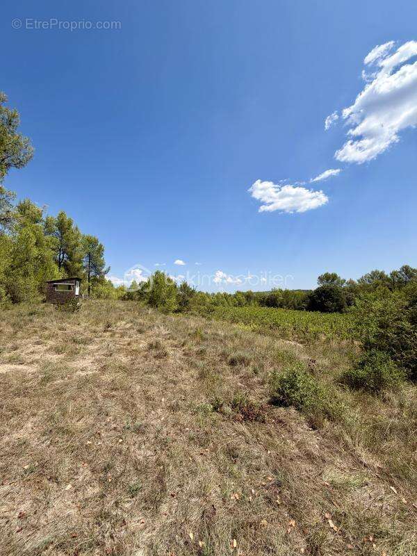 Terrain agricole de 11 476 m² avec mazet cadastré et puits - photo 6