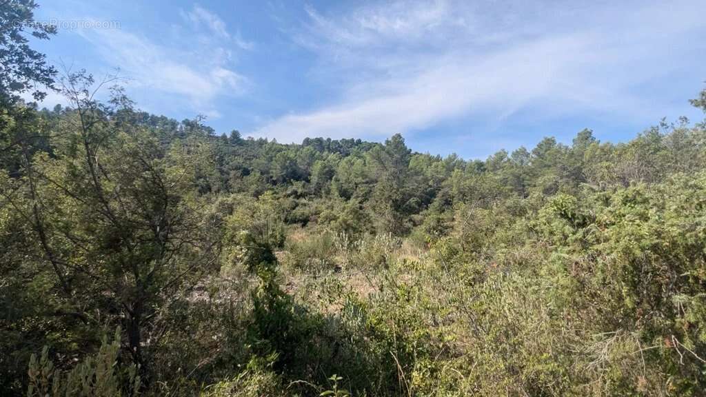 CARCES - Terrain 22.234m² en zone Naturelle - photo 10