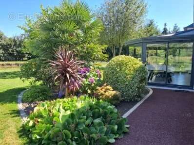 Maison à SAINTE-SUZANNE