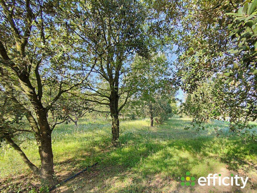 Maison à PERNES-LES-FONTAINES