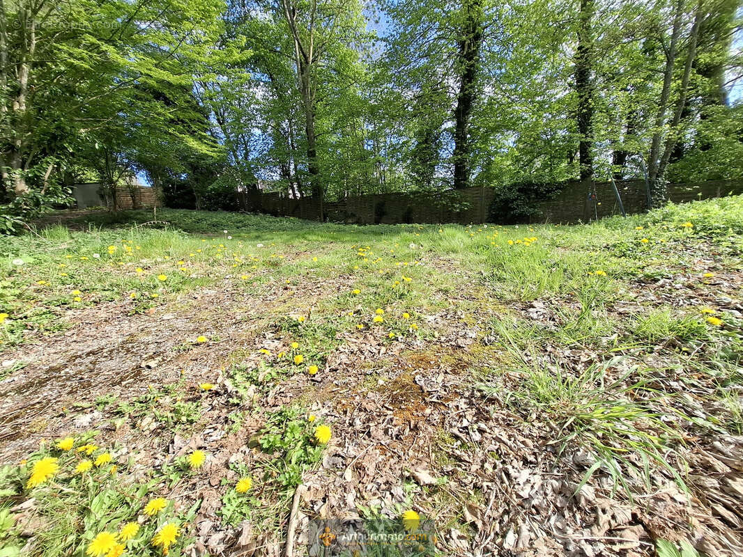 Terrain à COULOMMIERS