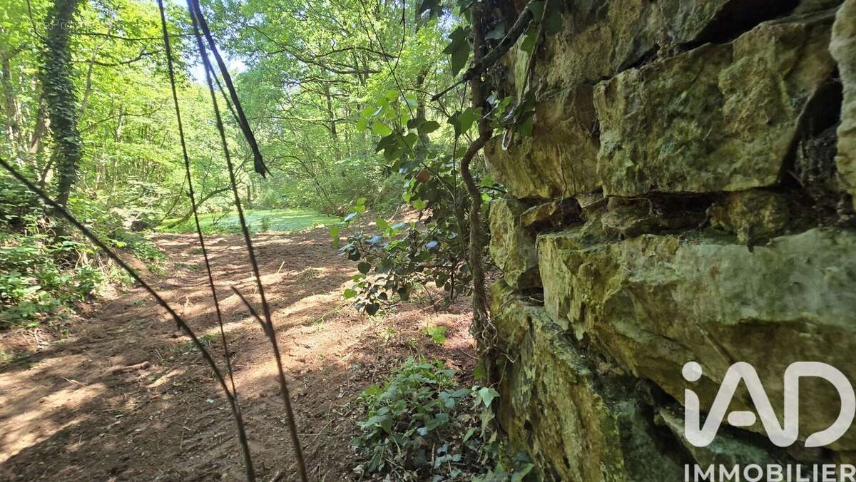 Photo 2 - Terrain à VIEUX-VY-SUR-COUESNON