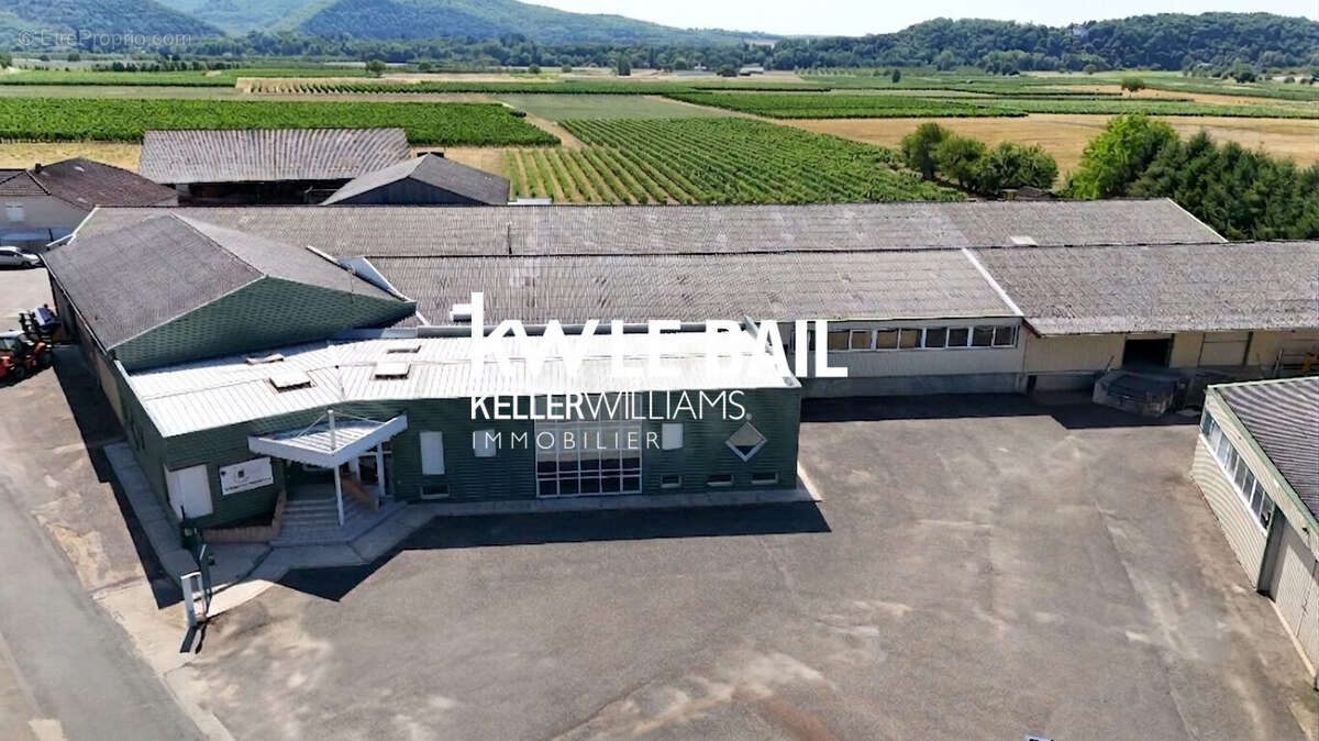 Commerce 5 860 m² à vendre à Lagardelle (46220) - photo 3