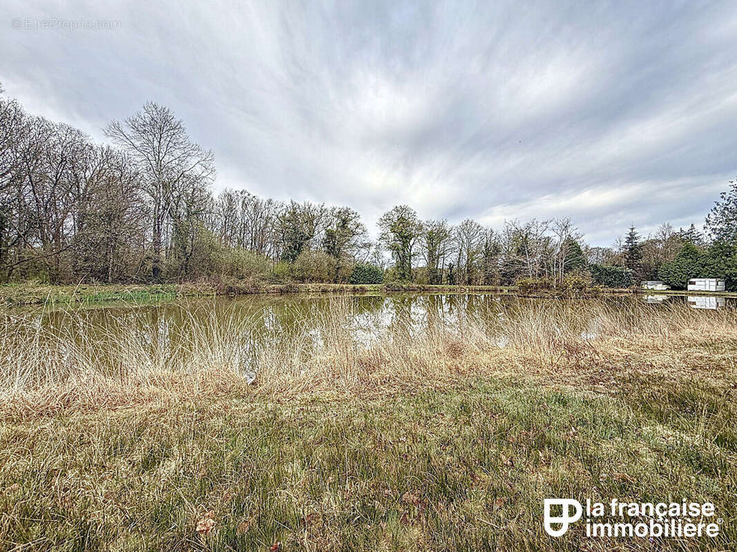 Terrain à SENS-DE-BRETAGNE