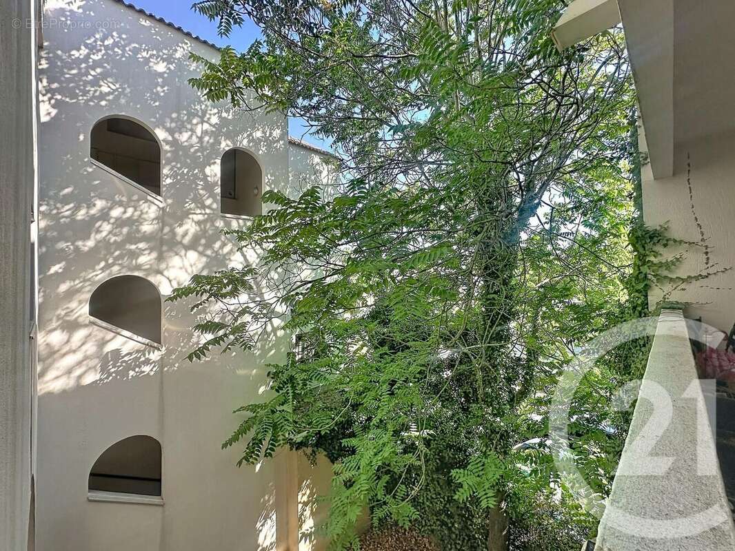 Photo 8 - Appartement à MONTPELLIER