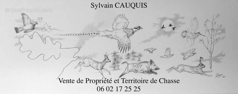 Maison à LAMOTTE-BEUVRON