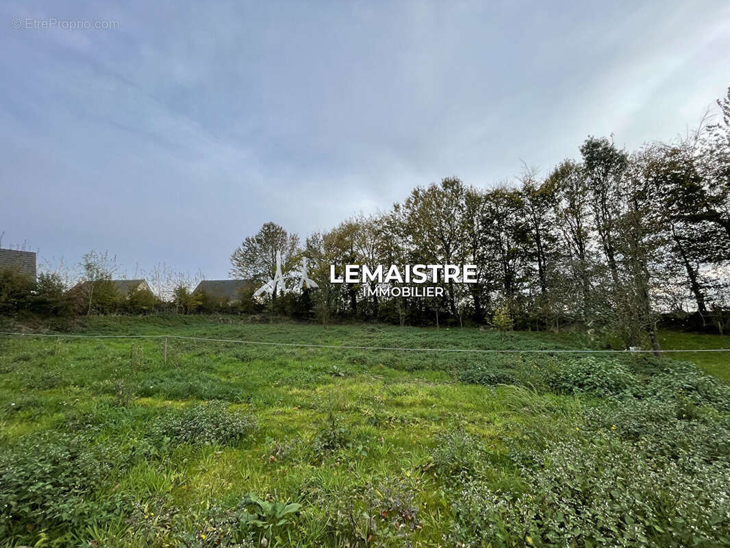 Terrain à MENTHEVILLE