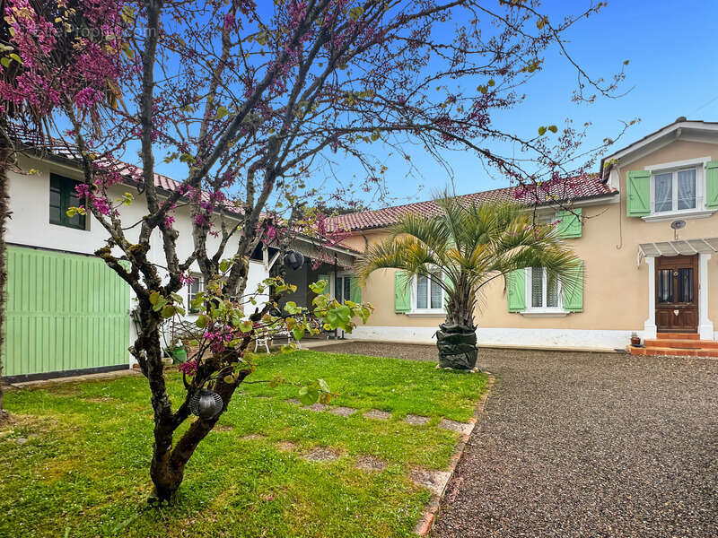Maison à vendre de 155 m2 de surface habitable à LADEVEZE RIVIERE (32) avec 3330 m2 de jardin - photo 25