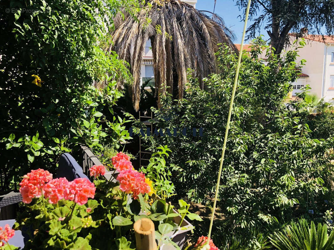 Montagnes - Maison à PERPIGNAN