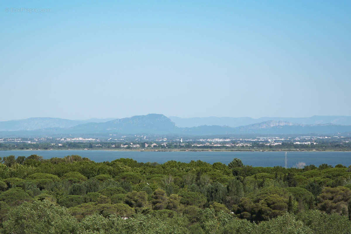 Appartement à LA GRANDE-MOTTE