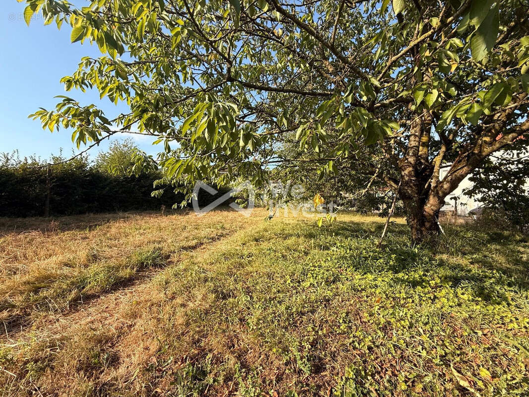 Terrain 463 m² à vendre à Sailly (08110) - photo 4
