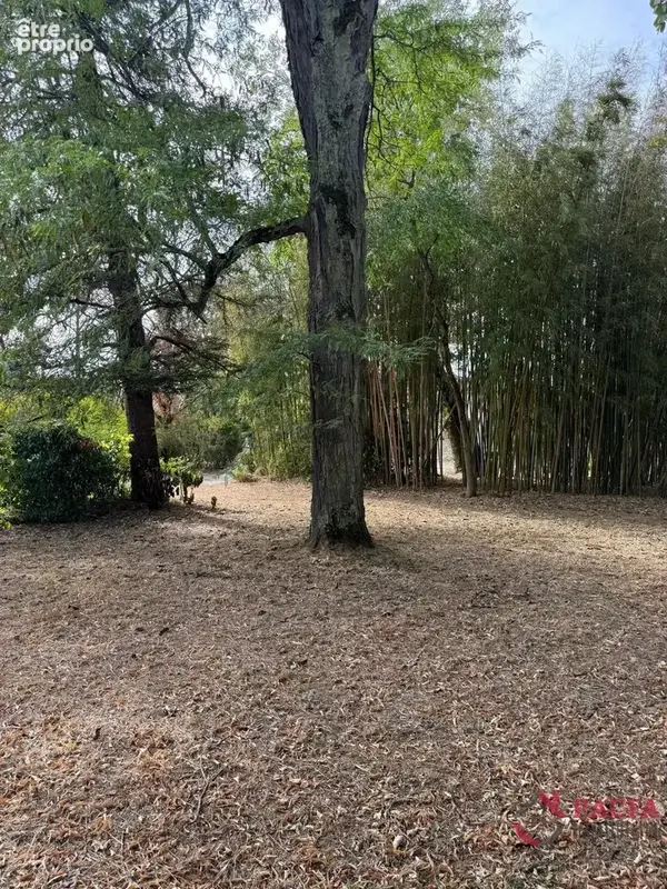 Plateau St Jean - maison individuelle avec grand terrain - photo 17