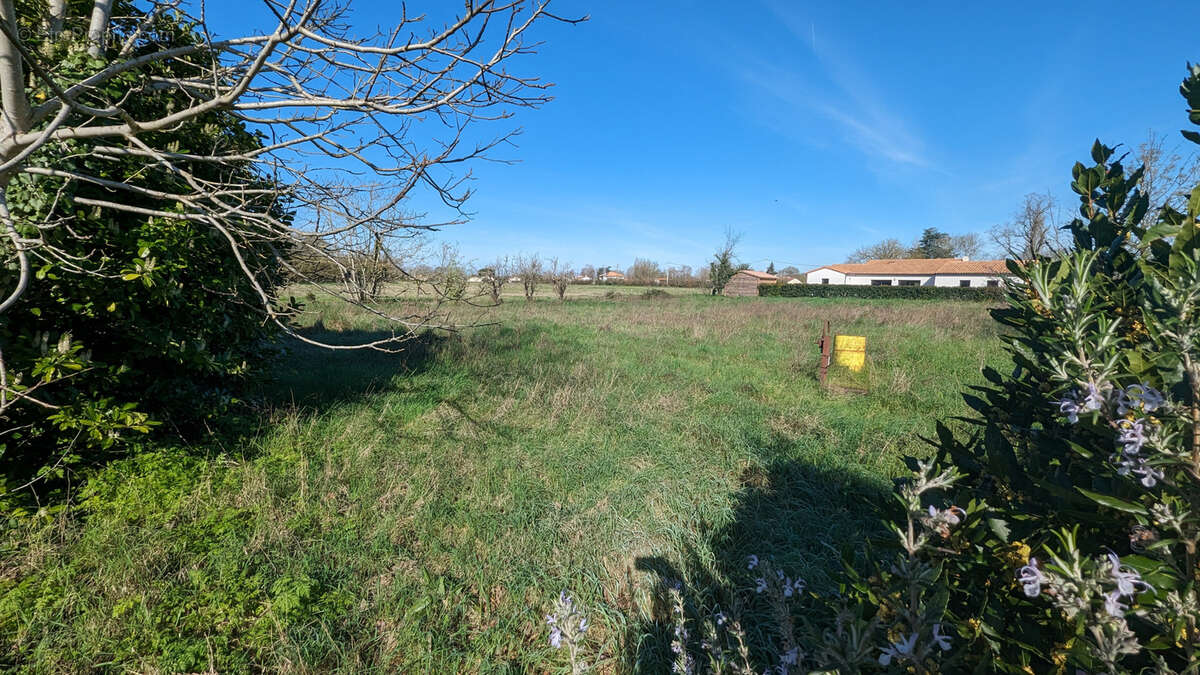 Terrain à COULON