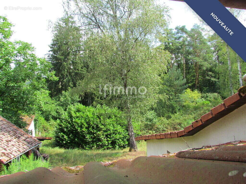 Maison avec dépendances sur 35 ares - photo 11