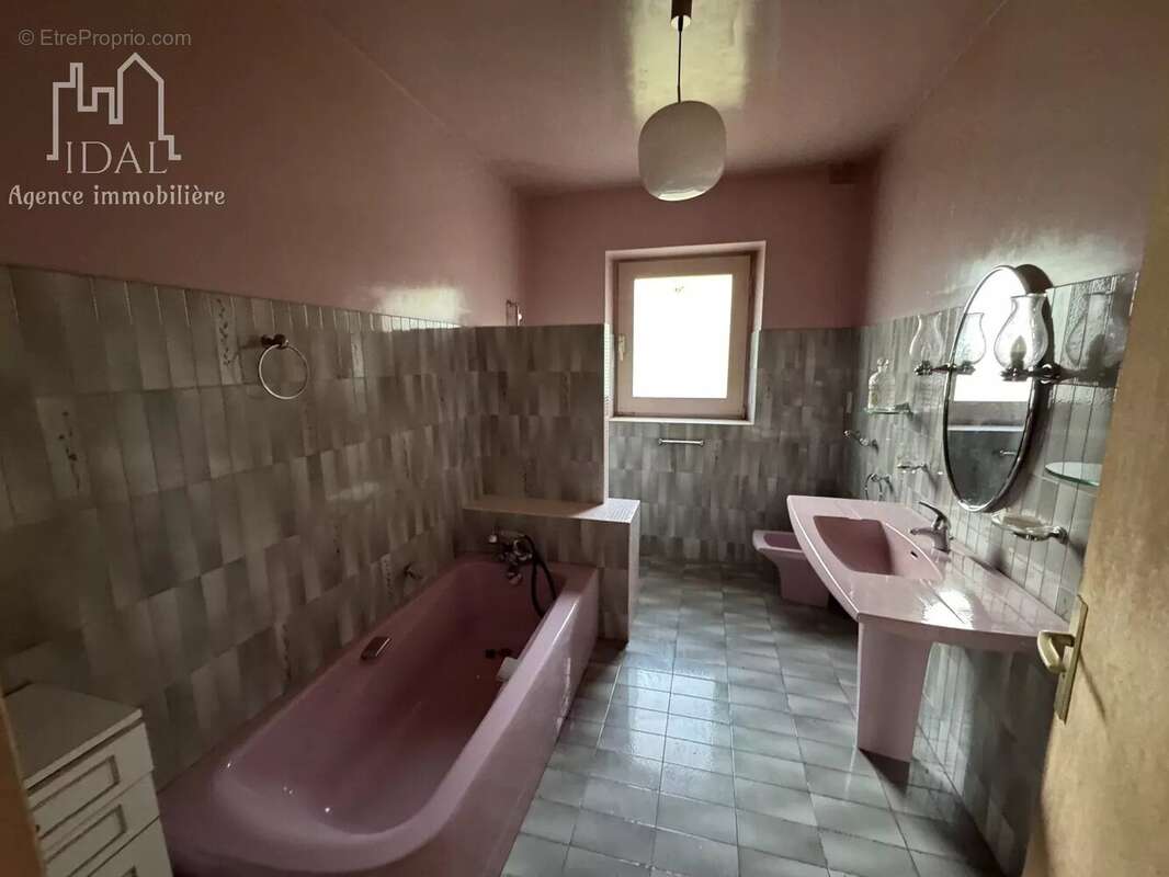 Maison à LE MALZIEU-VILLE