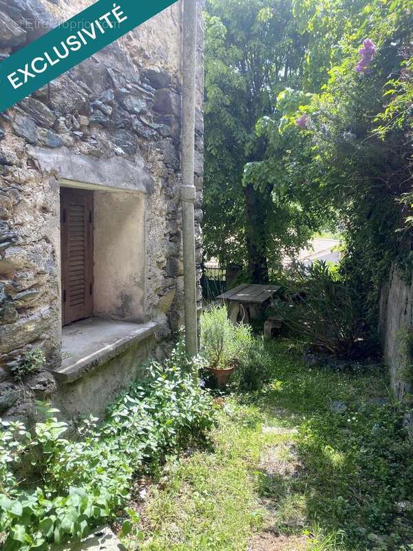 Photo 5 - Appartement à VEZZANI