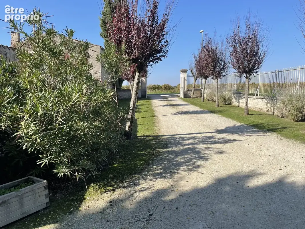 Prignac magnifique propriete de 290 m2 parc de 7500 m2 gite de 130 m2 garage de 60 m2 dependances de 190 m2 - photo 14