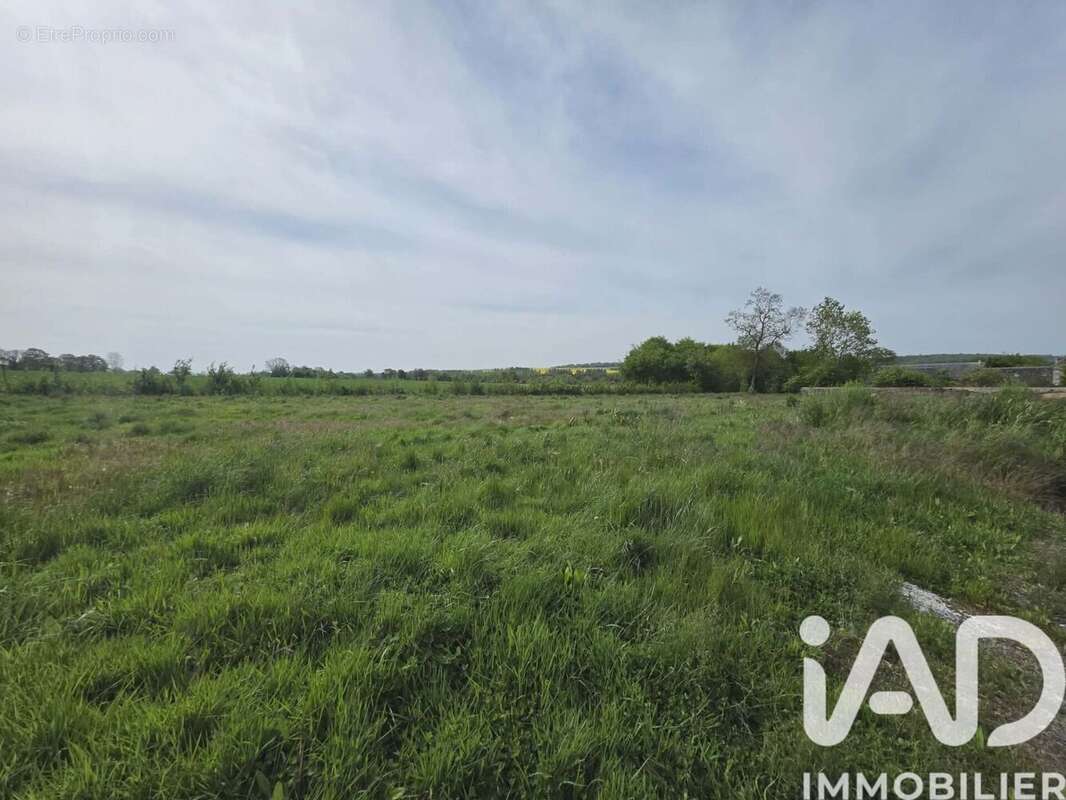 Terrain 990 m² à Maisoncelles-Pelvey  - photo 3