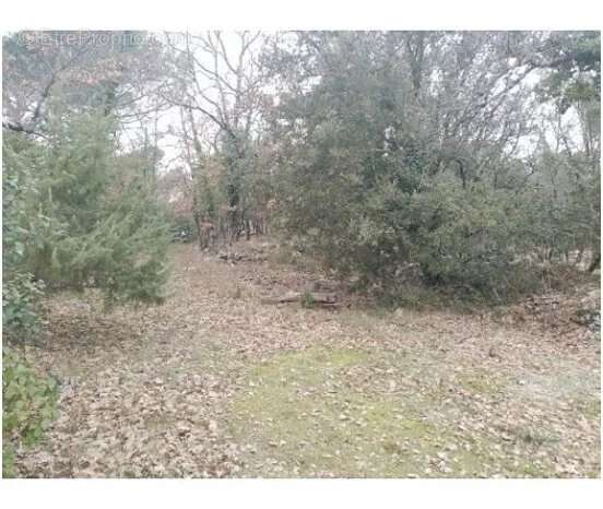 Maison à CAMPS-LA-SOURCE