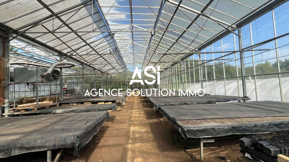 Terrain à LA FERTE-MACE