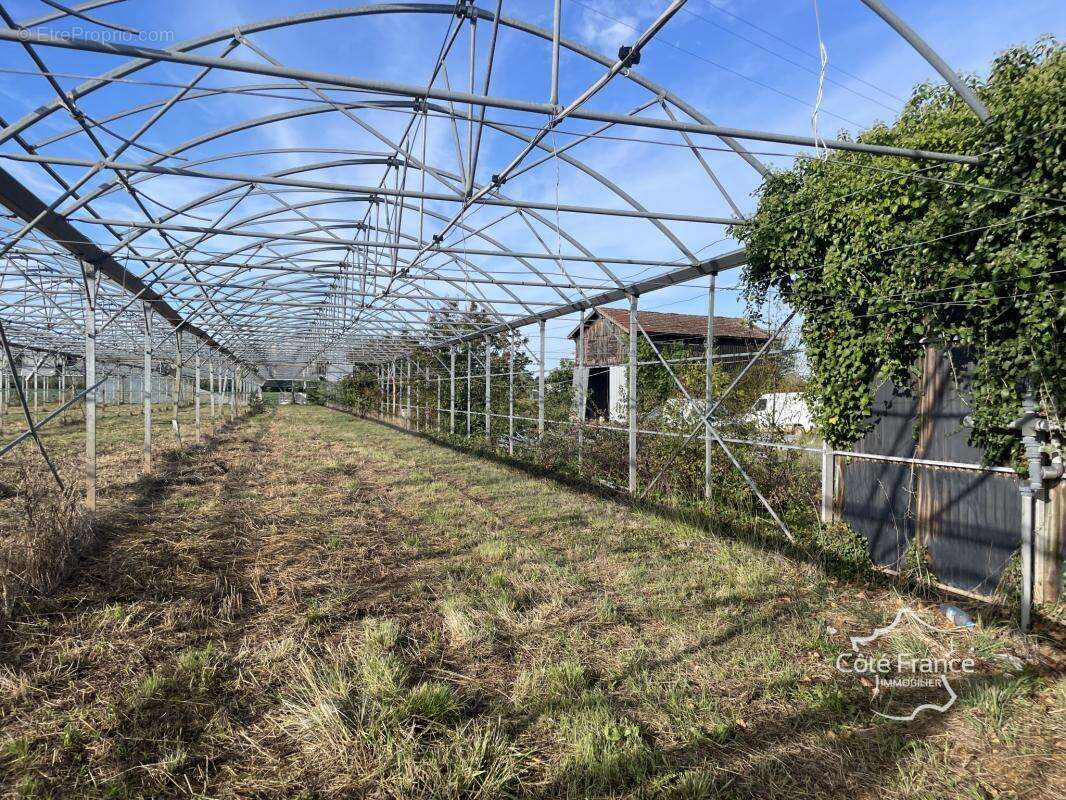 Terrain à LONGUEVILLE