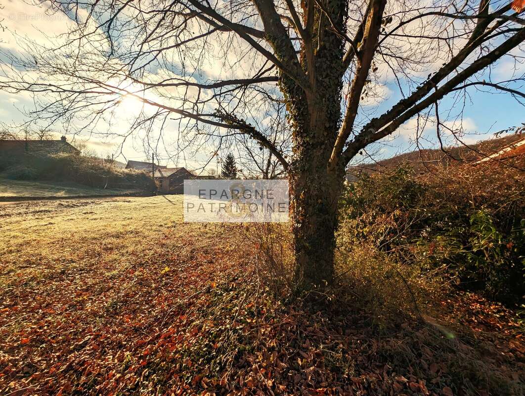 n°2 - Terrain à PANOSSAS