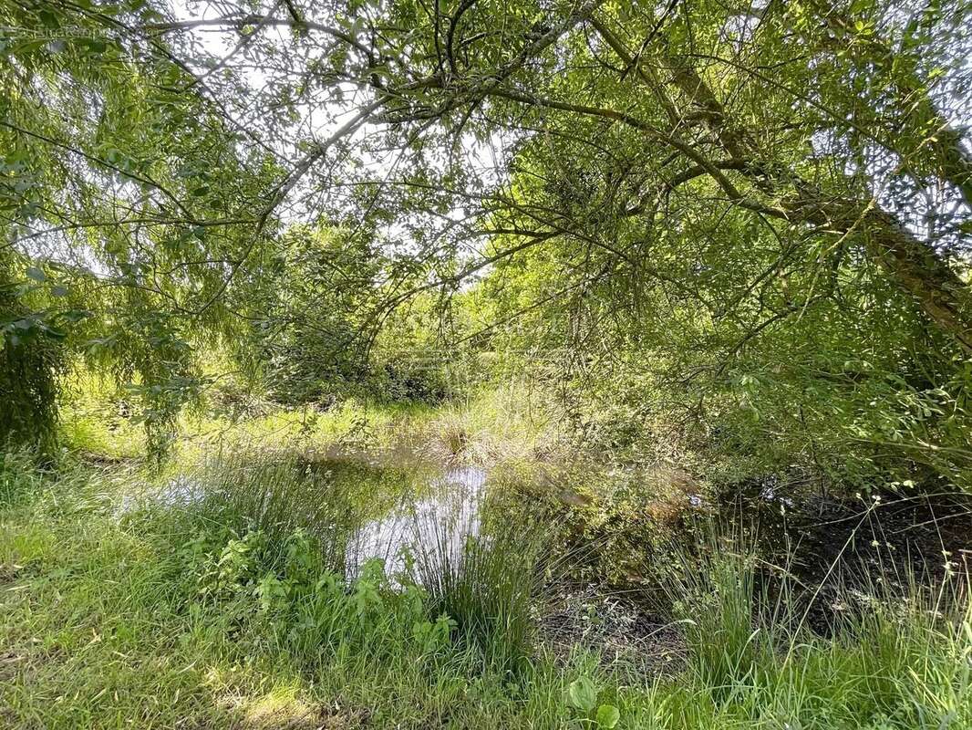 Maison à CORMEILLES