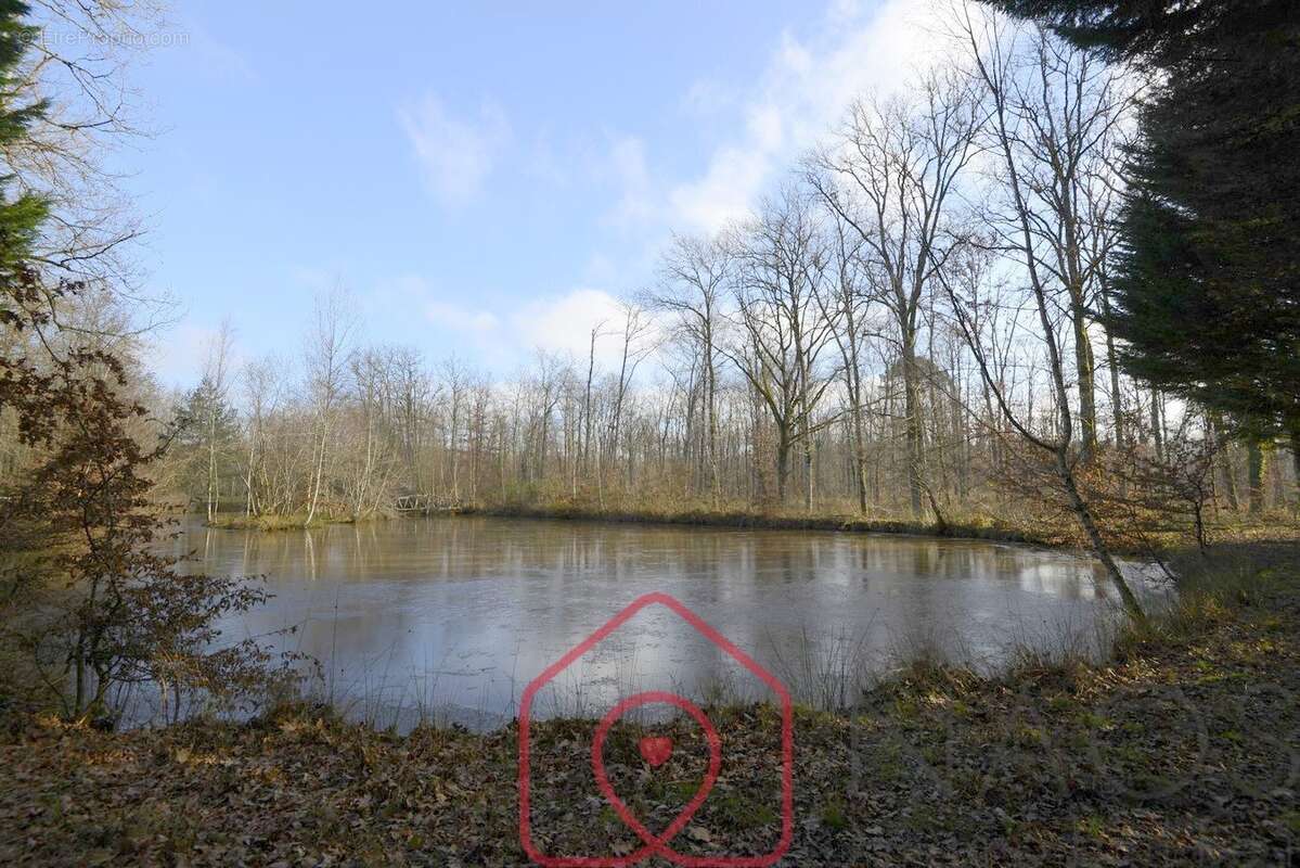 Terrain à NOUAN-LE-FUZELIER