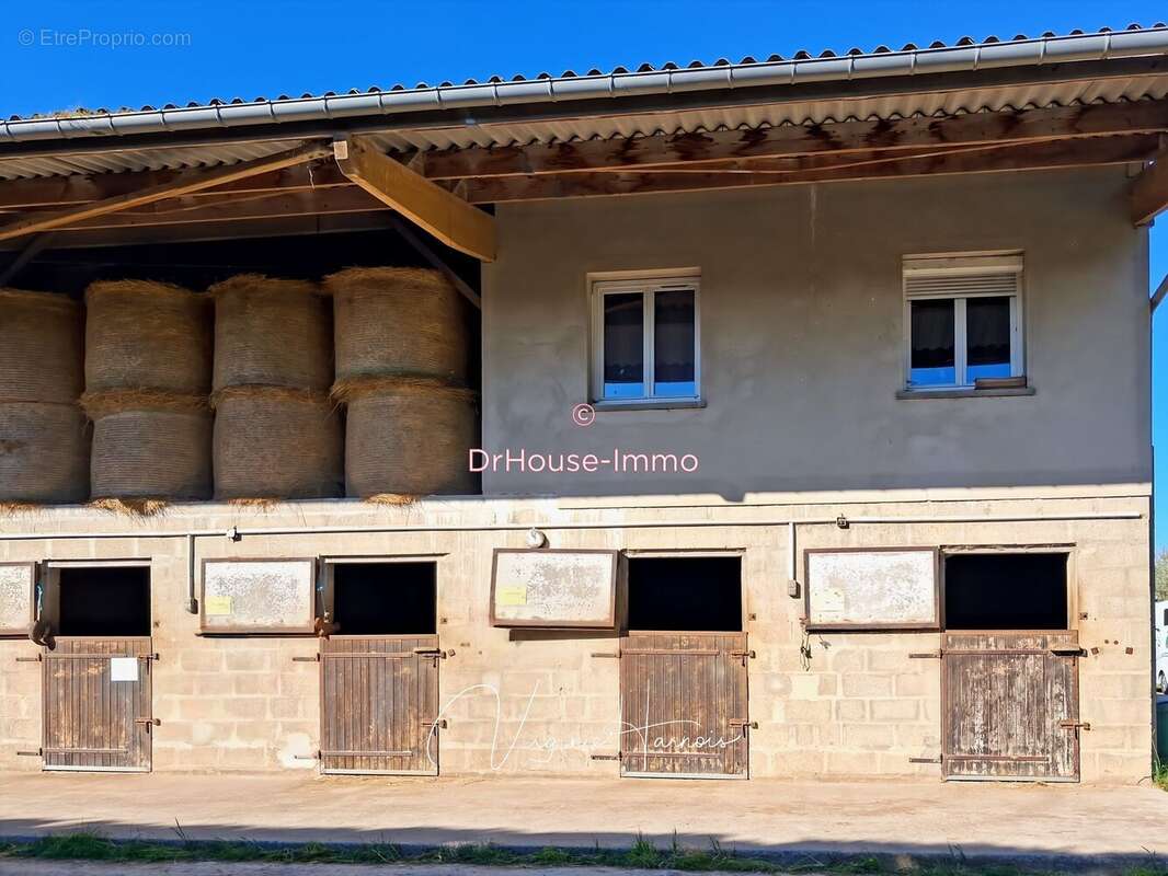 Maison 168 m² à Falaise  - photo 43