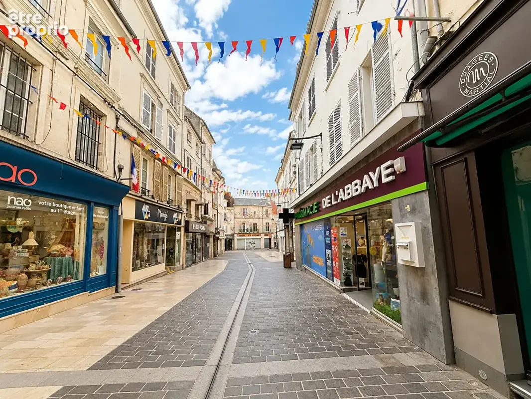 EXCLUSIVITÉ  -  Charmant duplex au coeur des rues piétonnes de Lagny-sur-Marne - photo 7