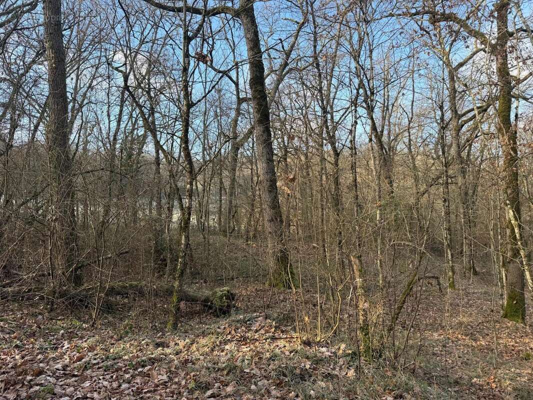 Photo 2 - Terrain à PUJOLS