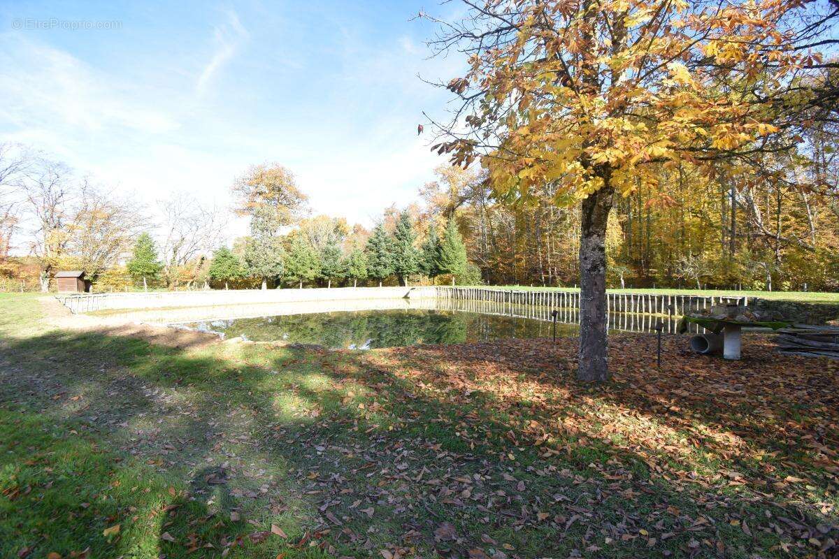 Terrain à SAVIGNY-EN-SANCERRE