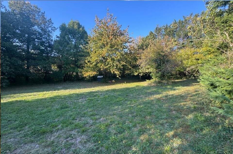 Terrain à VILLENEUVE-LA-COMPTAL