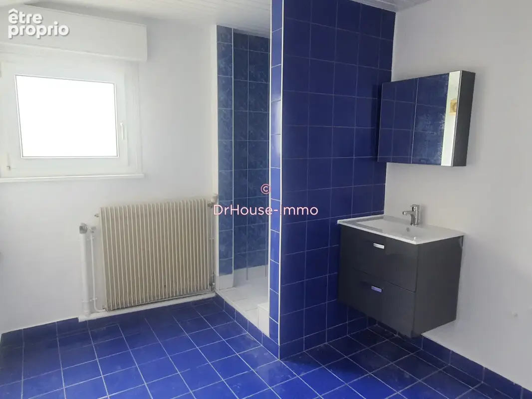 Appartement 15 pièces 317 m² à vendre à Dannemarie (68210) - photo 27