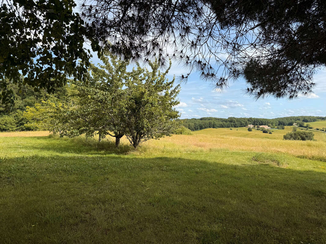 Maison en pierre avec chalet bois, grange et vue panoramique - photo 21