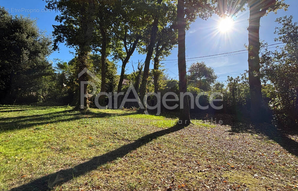 Terrain à SAINT-GEORGES-DE-DIDONNE