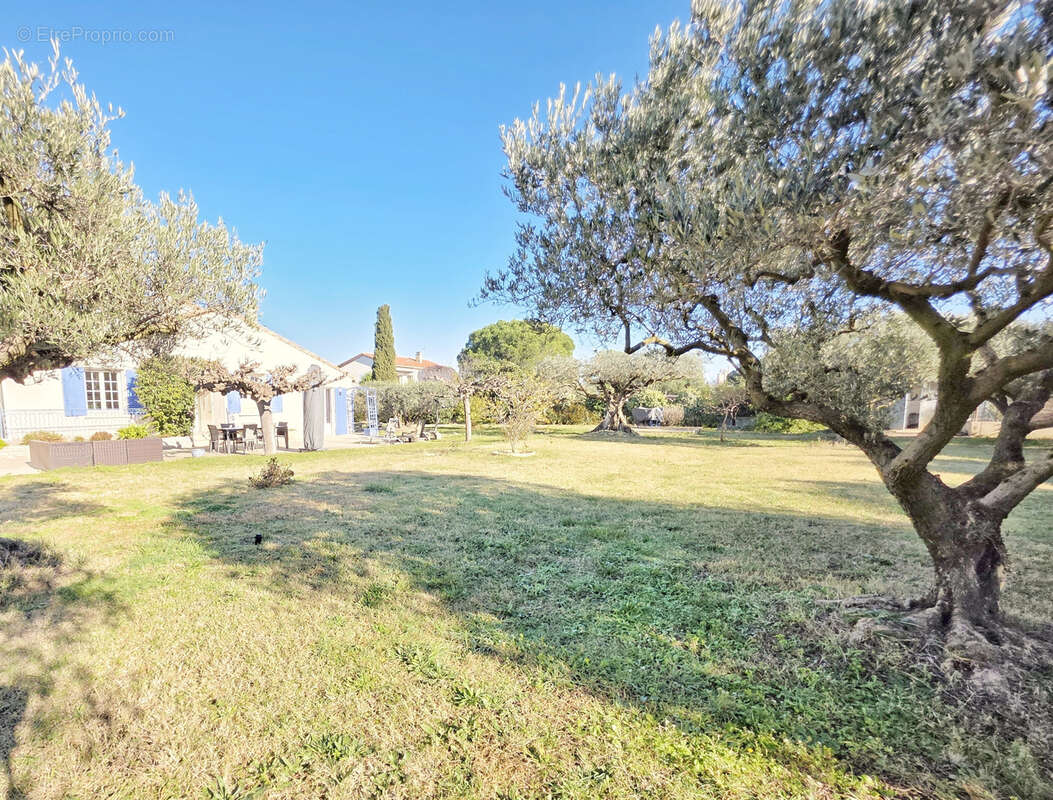 Maison à BEAUCAIRE