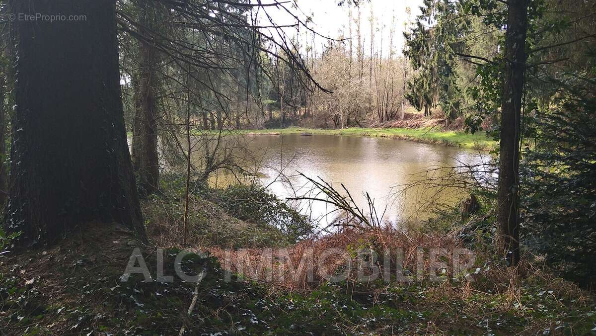 Terrain à LOUPFOUGERES