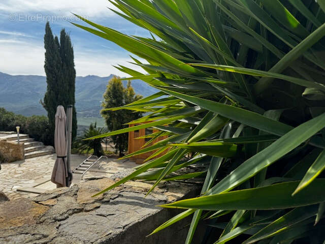 Maison à SANTA-REPARATA-DI-BALAGNA