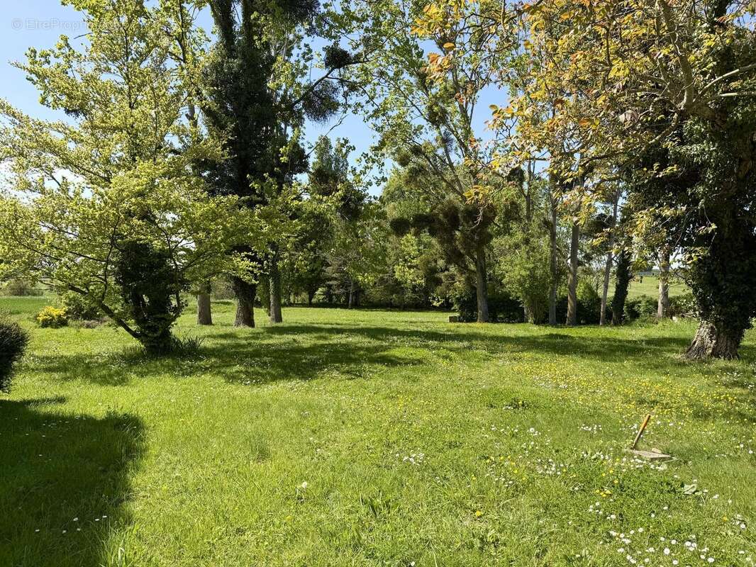 Parc - Maison à SAINT-COSME-EN-VAIRAIS