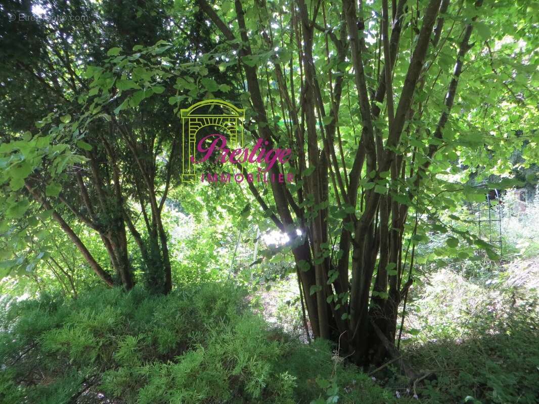 Maison à SAINT-GERMAIN-EN-LAYE