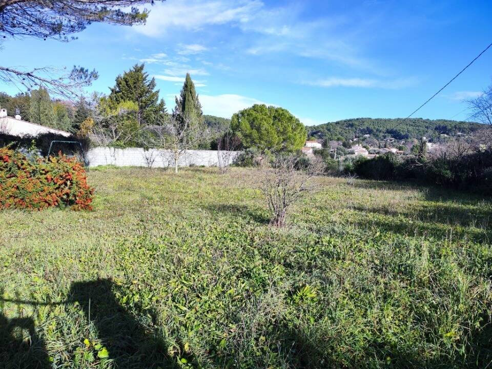 Terrain à CARNOULES