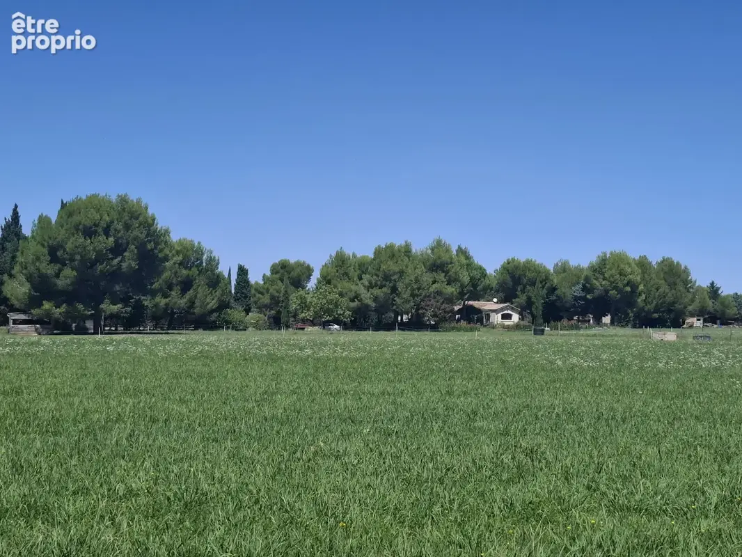 Domaine entre Alpilles et Arles - photo 6