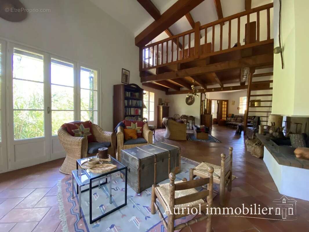 AURIOL - Villa 312 m² sur 9 690 m² de terrain - 3 logements - photo 4