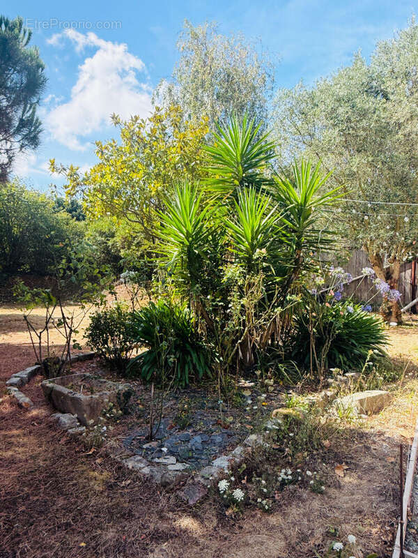 Maison 117 m² à Saint-Coulomb  - photo 2